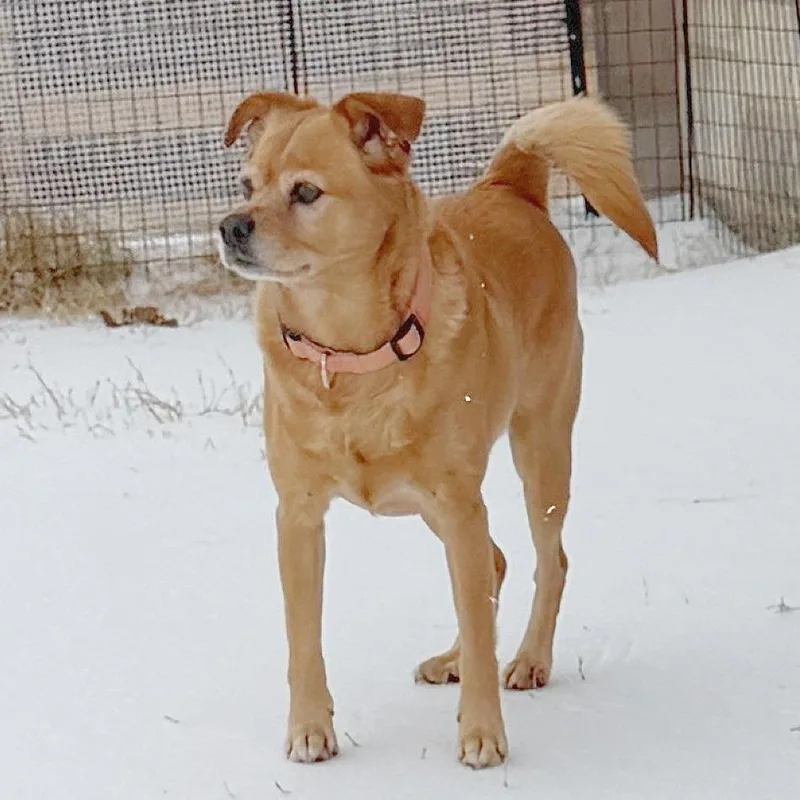 Frida Pawlo thumbnail 4