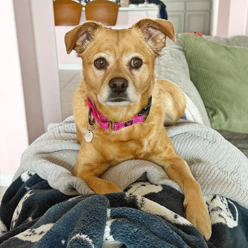 Frida Pawlo thumbnail 5