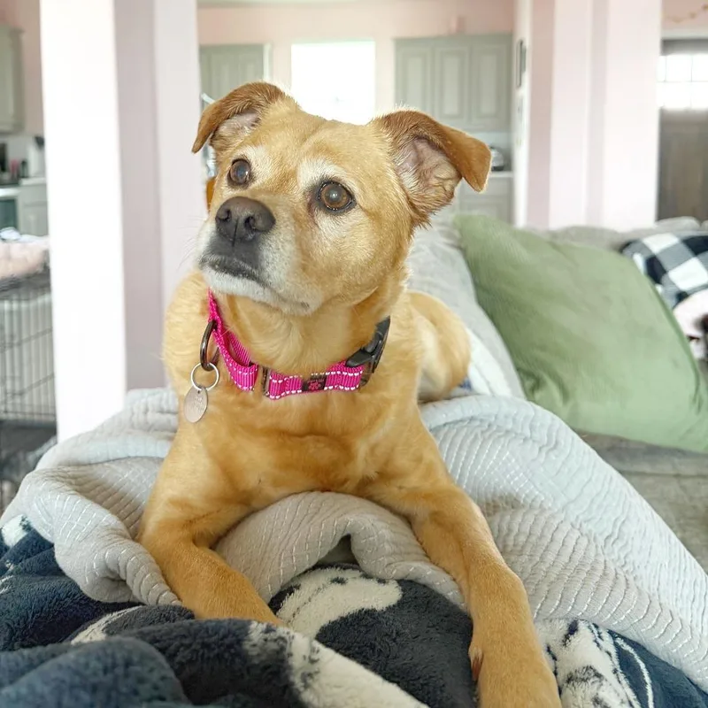 Frida Pawlo thumbnail 6