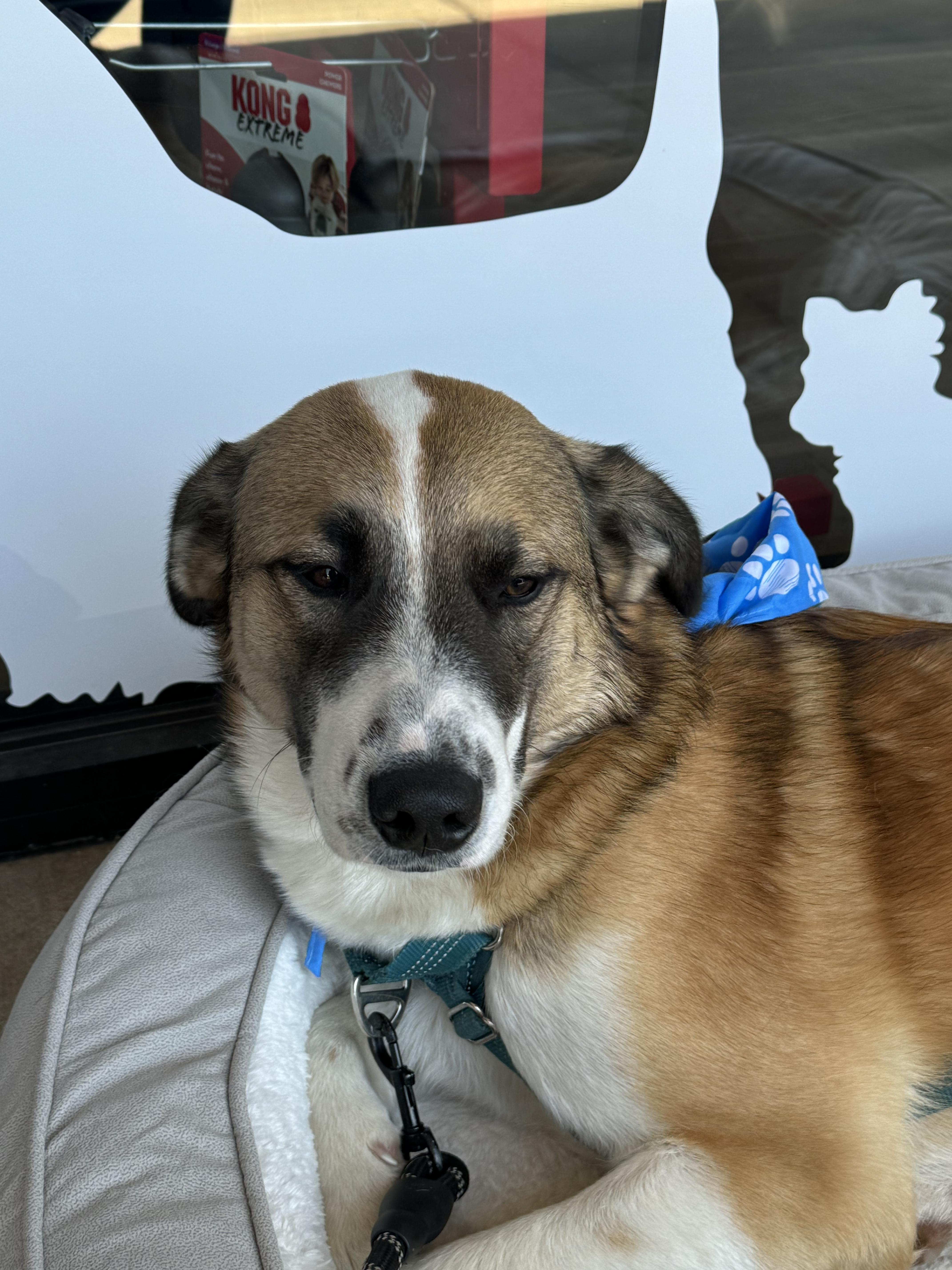 Shadow thumbnail 2