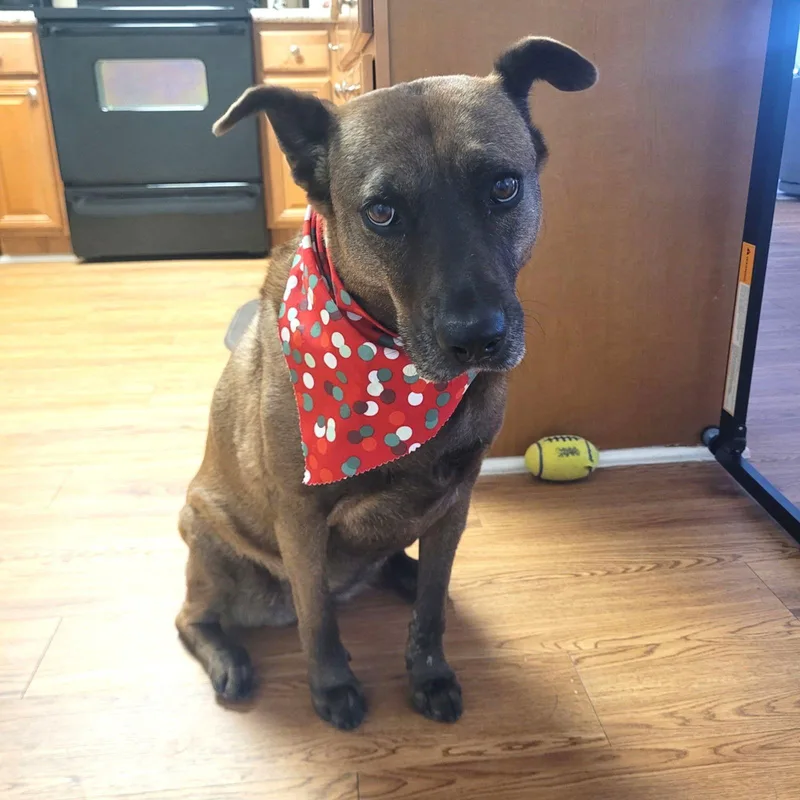 Lucy Greatwithchildren thumbnail 2