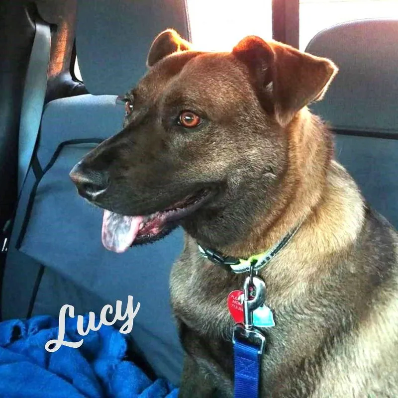 Lucy Greatwithchildren