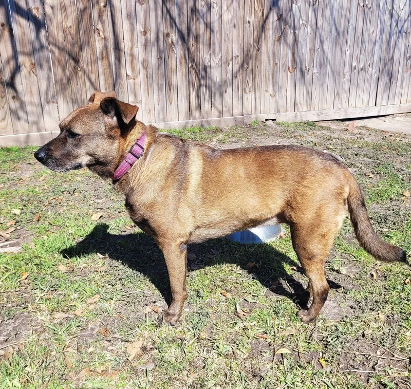 Lucy Greatwithchildren thumbnail 3