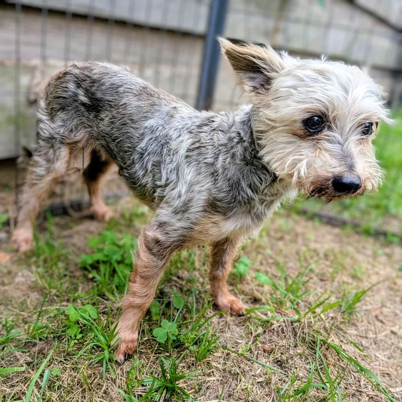 Samuel L. Jackson thumbnail 2