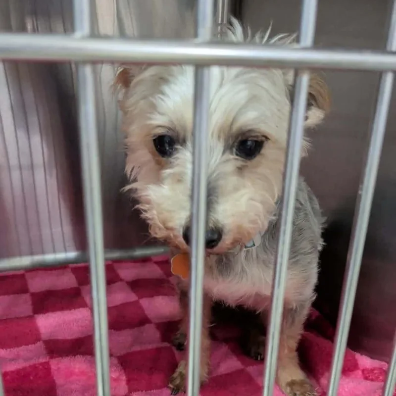 Samuel L. Jackson thumbnail 3