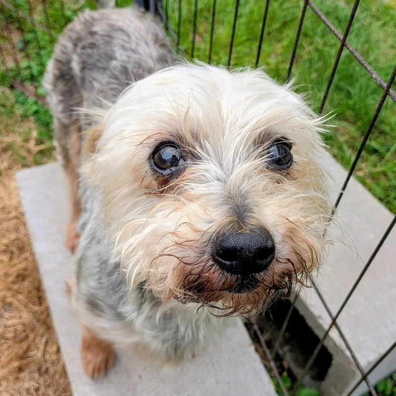 Samuel L. Jackson thumbnail 4