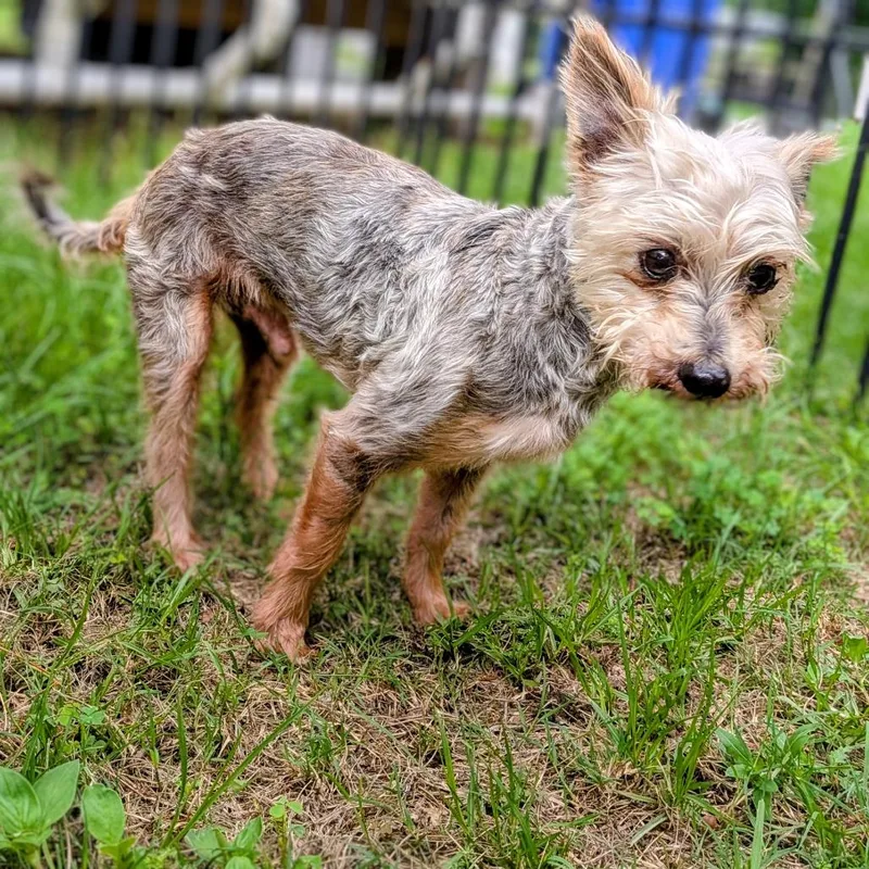 Samuel L. Jackson thumbnail 5