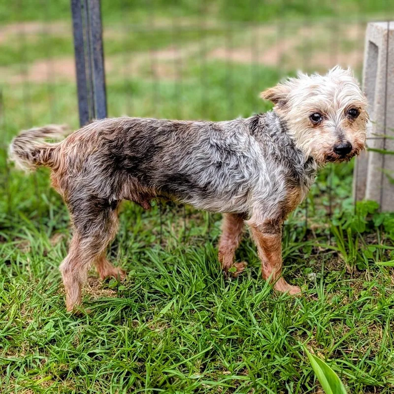 Samuel L. Jackson thumbnail 6