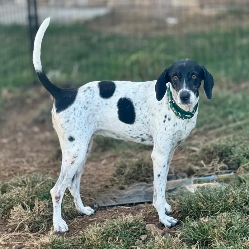 Gracie G thumbnail 3