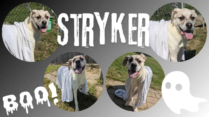 Strykersponsored thumbnail 2