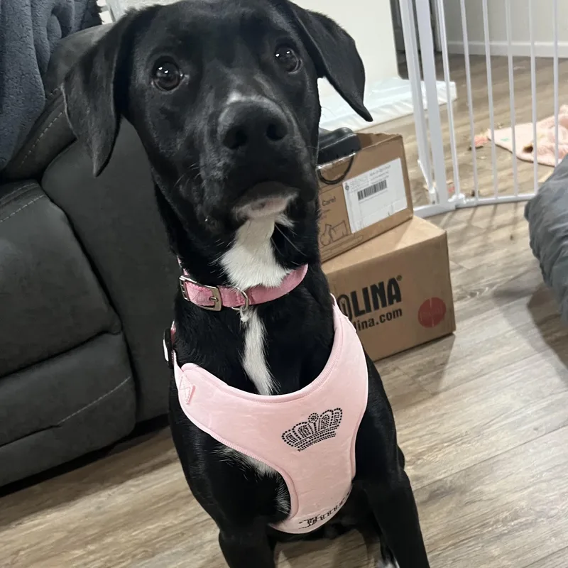 Valentina thumbnail 2