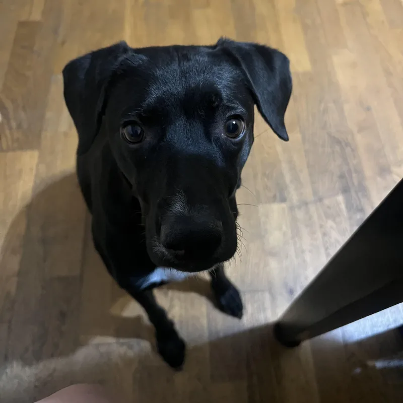 Valentina thumbnail 3