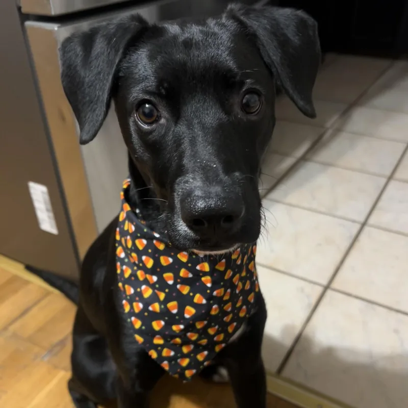 Valentina thumbnail 4