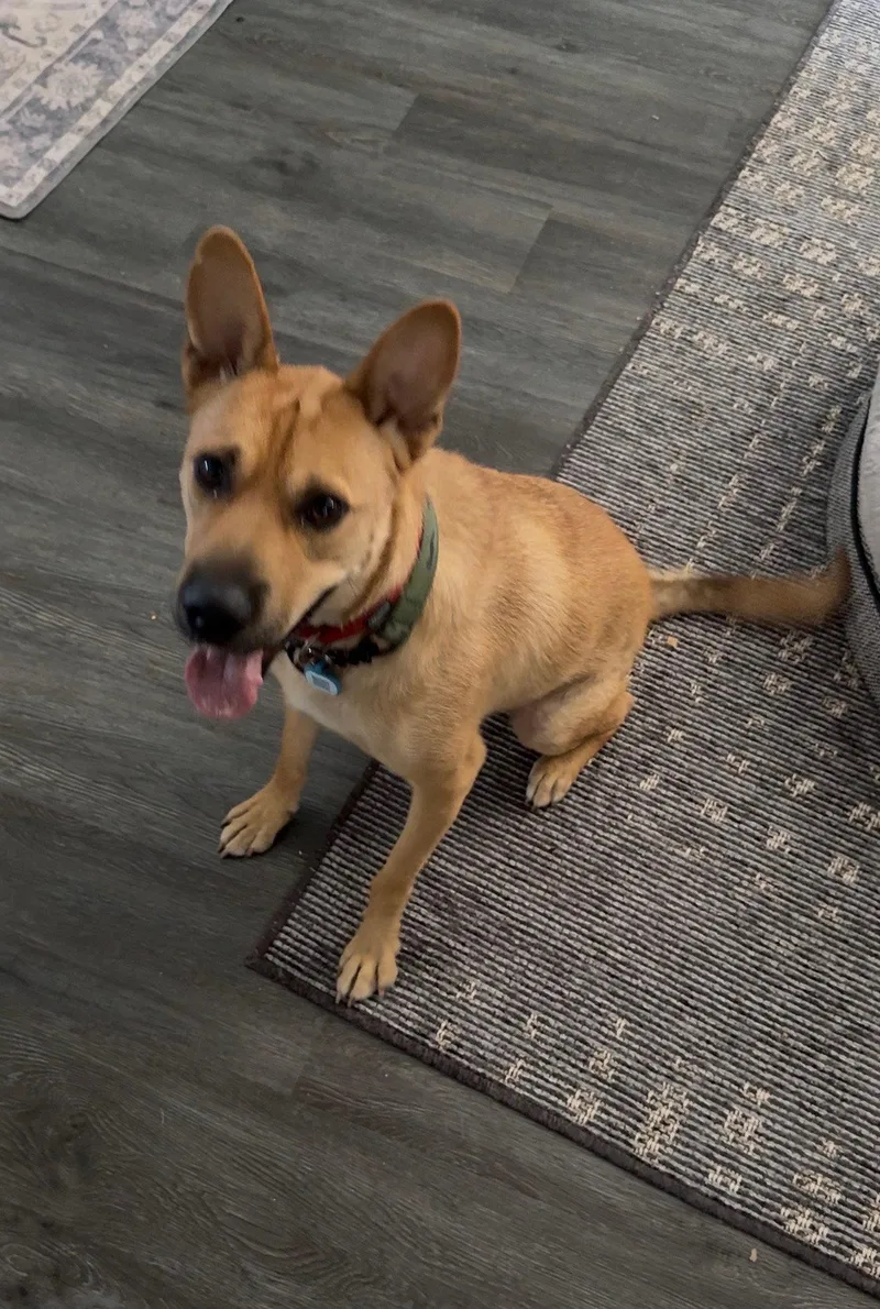 Buster thumbnail 2
