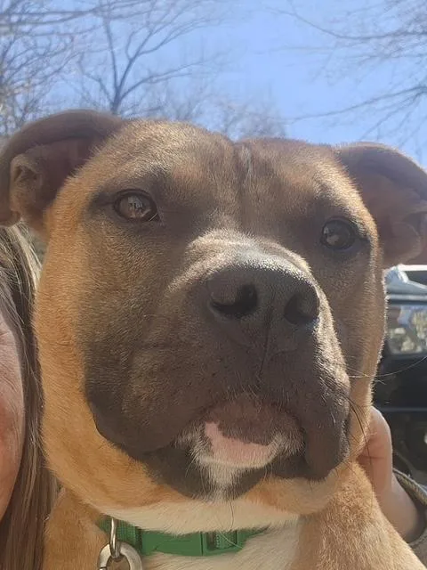 Pip  Crosslist thumbnail 4