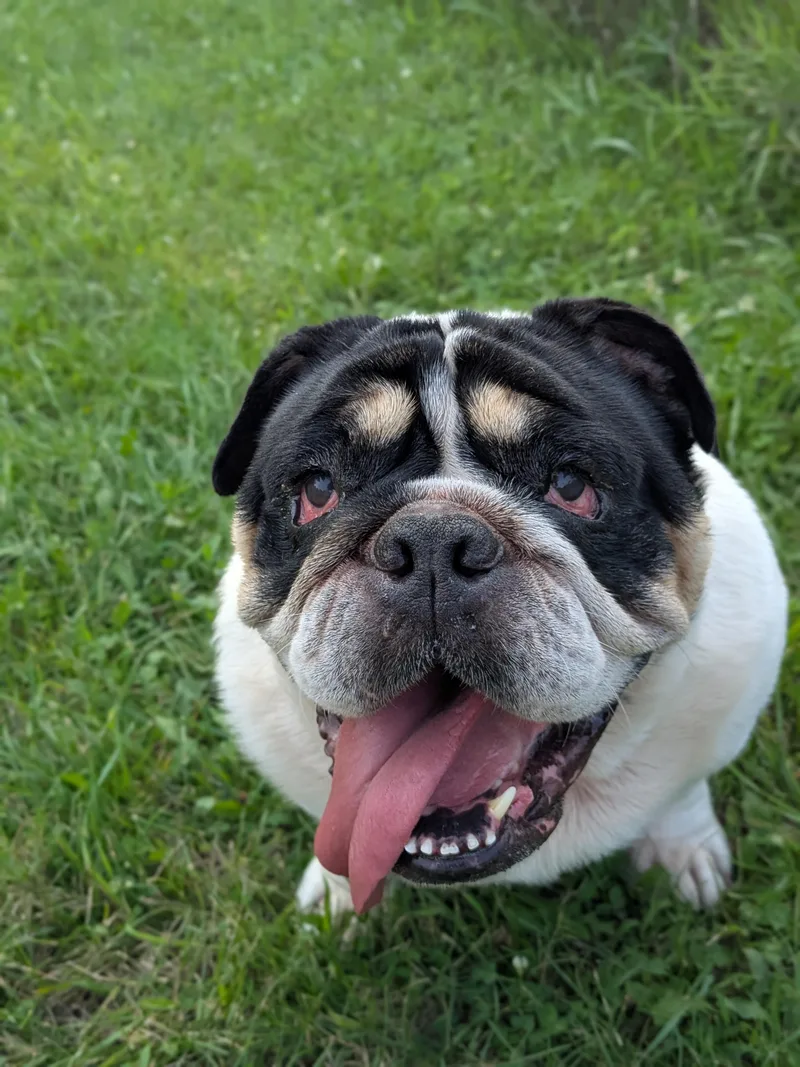 Wilma thumbnail 5
