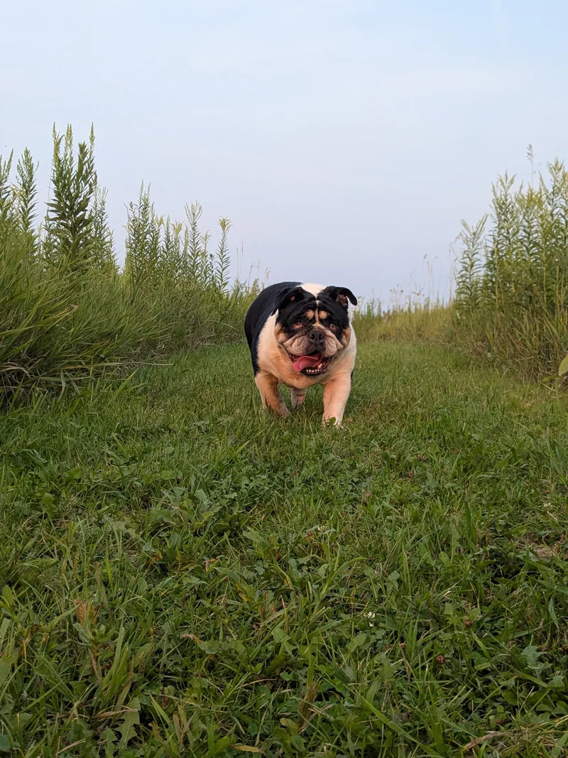 Wilma thumbnail 6