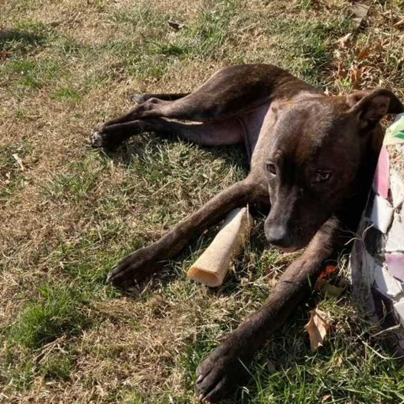 Mirabelle thumbnail 6