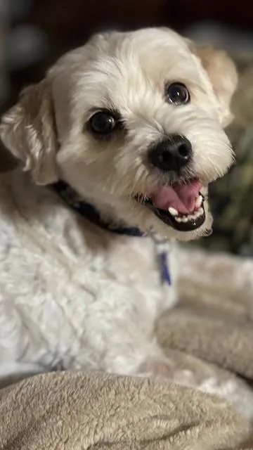 Finn thumbnail 2