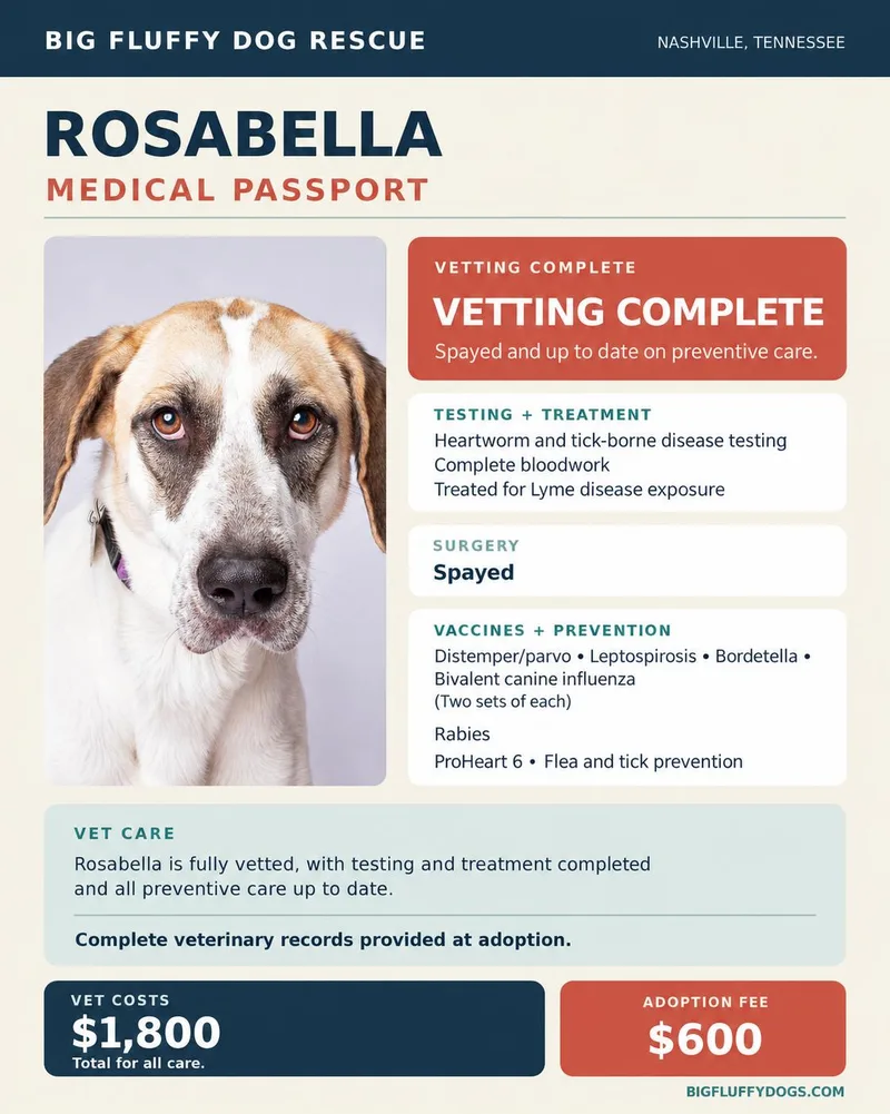 Rosabella