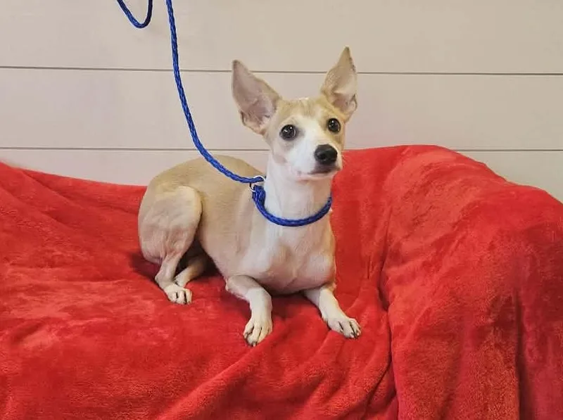 Catalina thumbnail 2