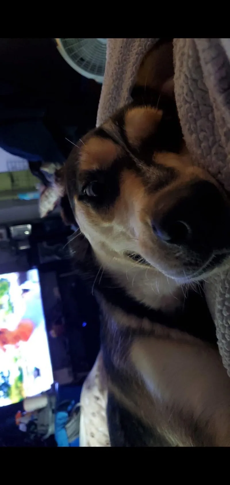 Missy thumbnail 3