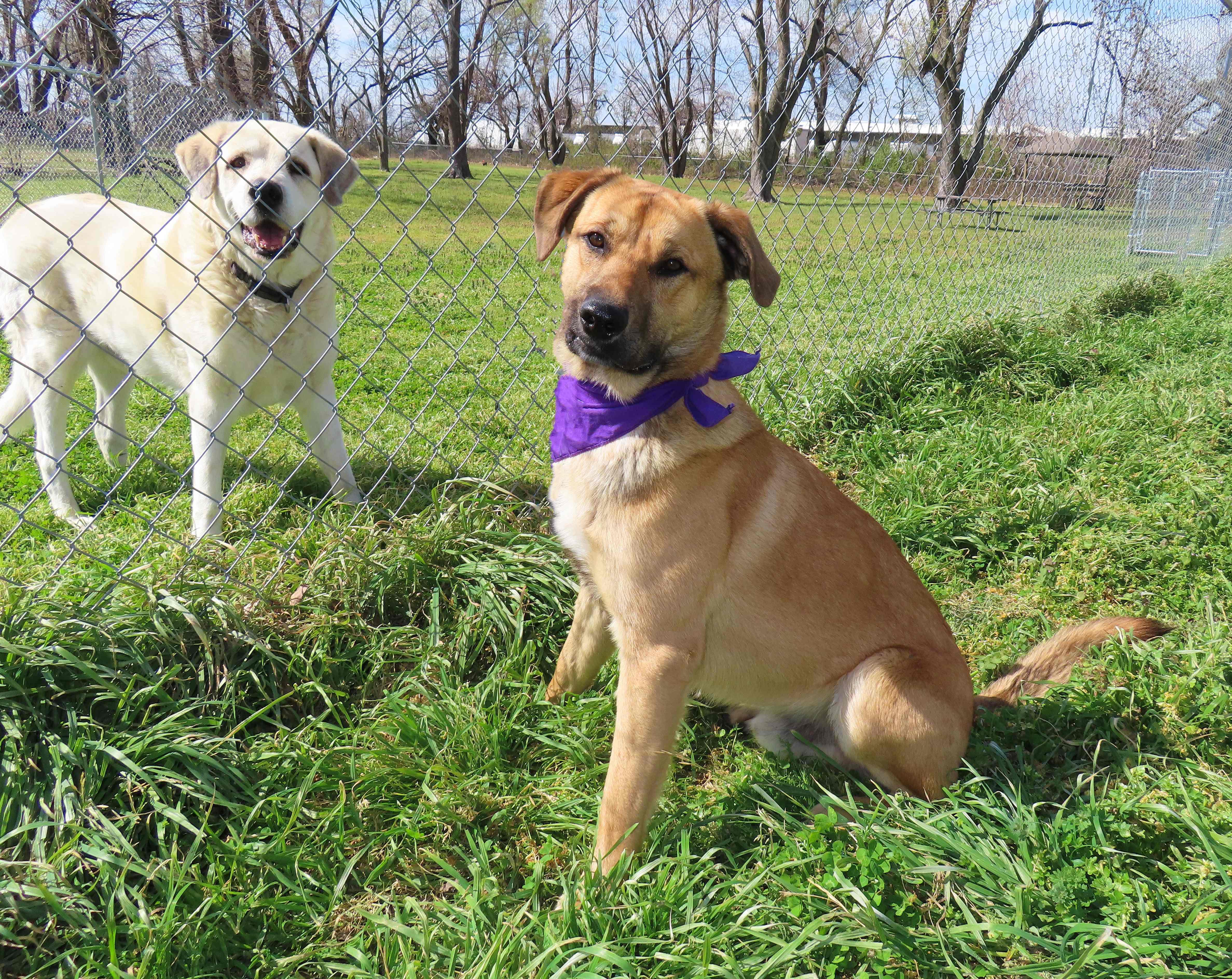 Keanu  C thumbnail 2