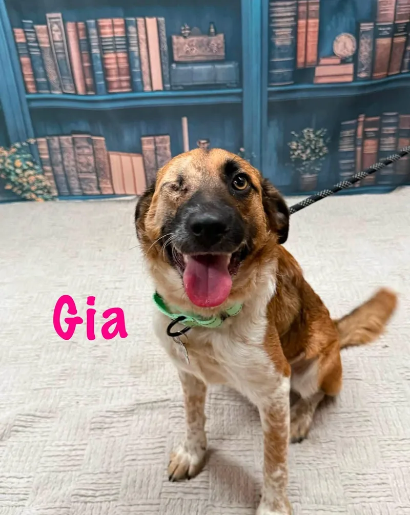 Gia thumbnail 2