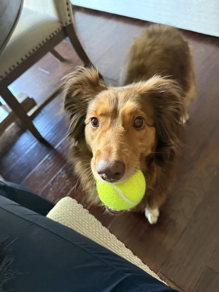 Ellie