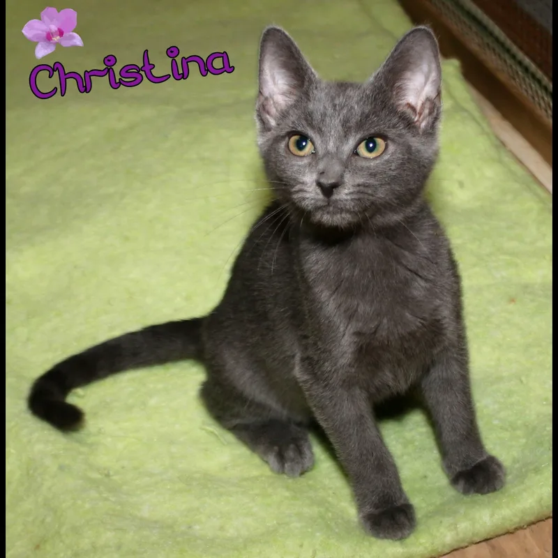 Christina thumbnail 2