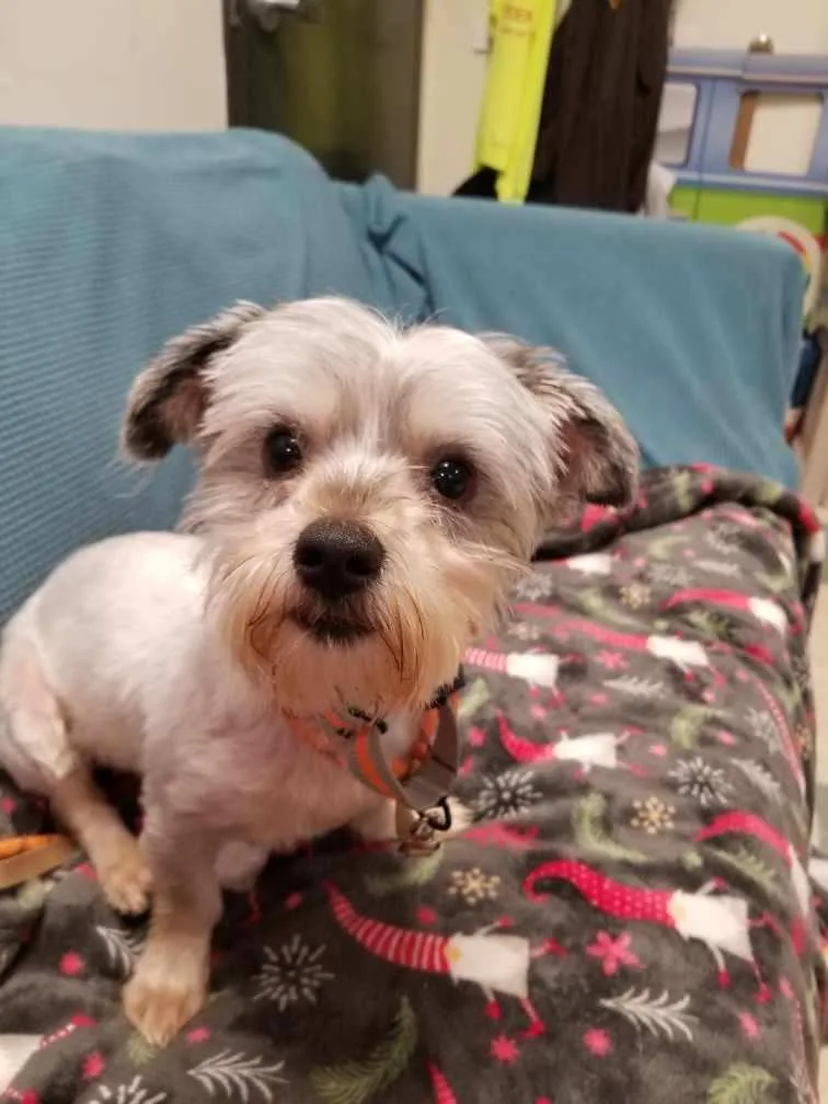 Ernie thumbnail 4