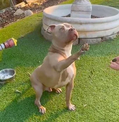 Seven Happy And Goofy thumbnail 5