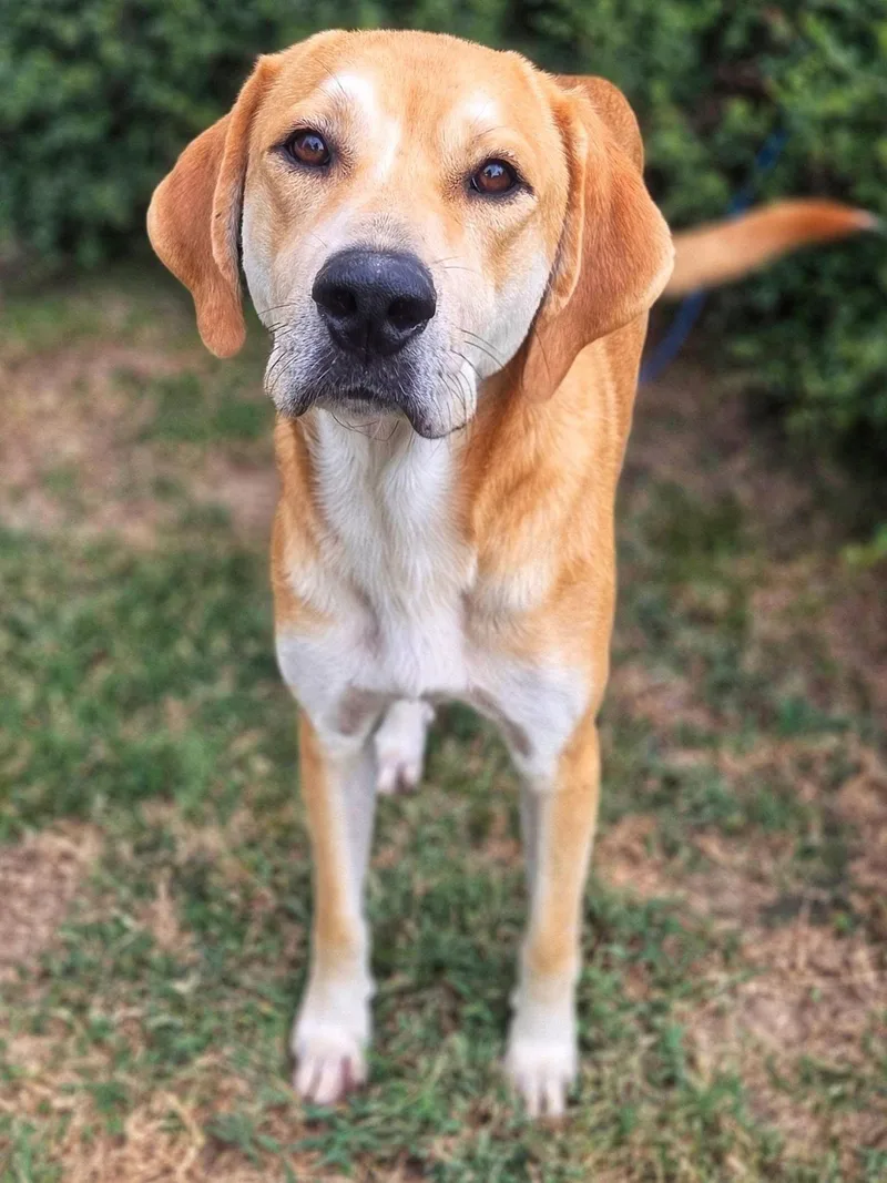 Gunther