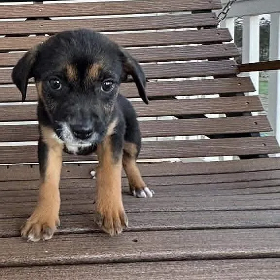 Callie Torres thumbnail 2