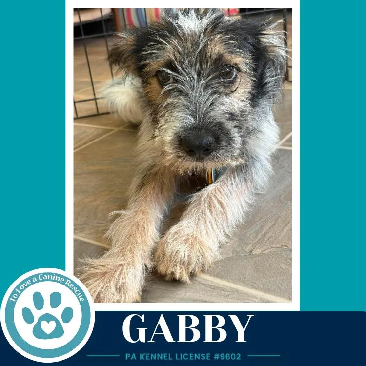 Gabby thumbnail 2