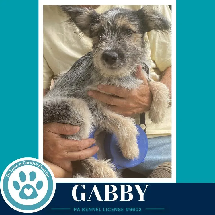 Gabby thumbnail 3