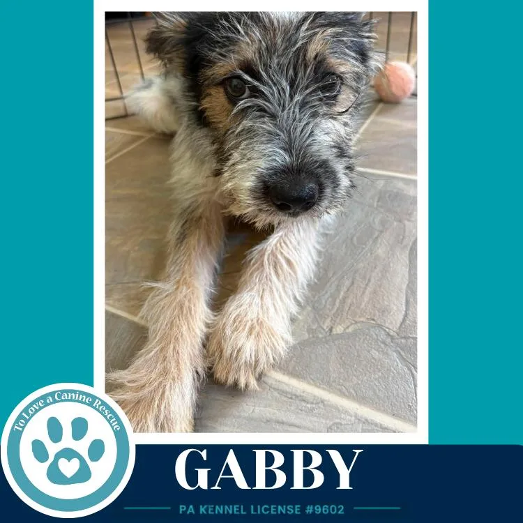 Gabby thumbnail 4