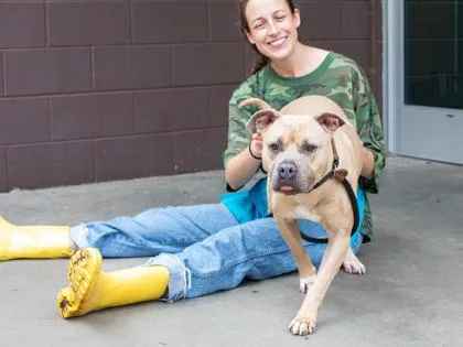 An adult large-sized male Mixed Breed dog named Kyron for adoption in Chamblee, GA