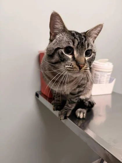 Leo Gray thumbnail 2