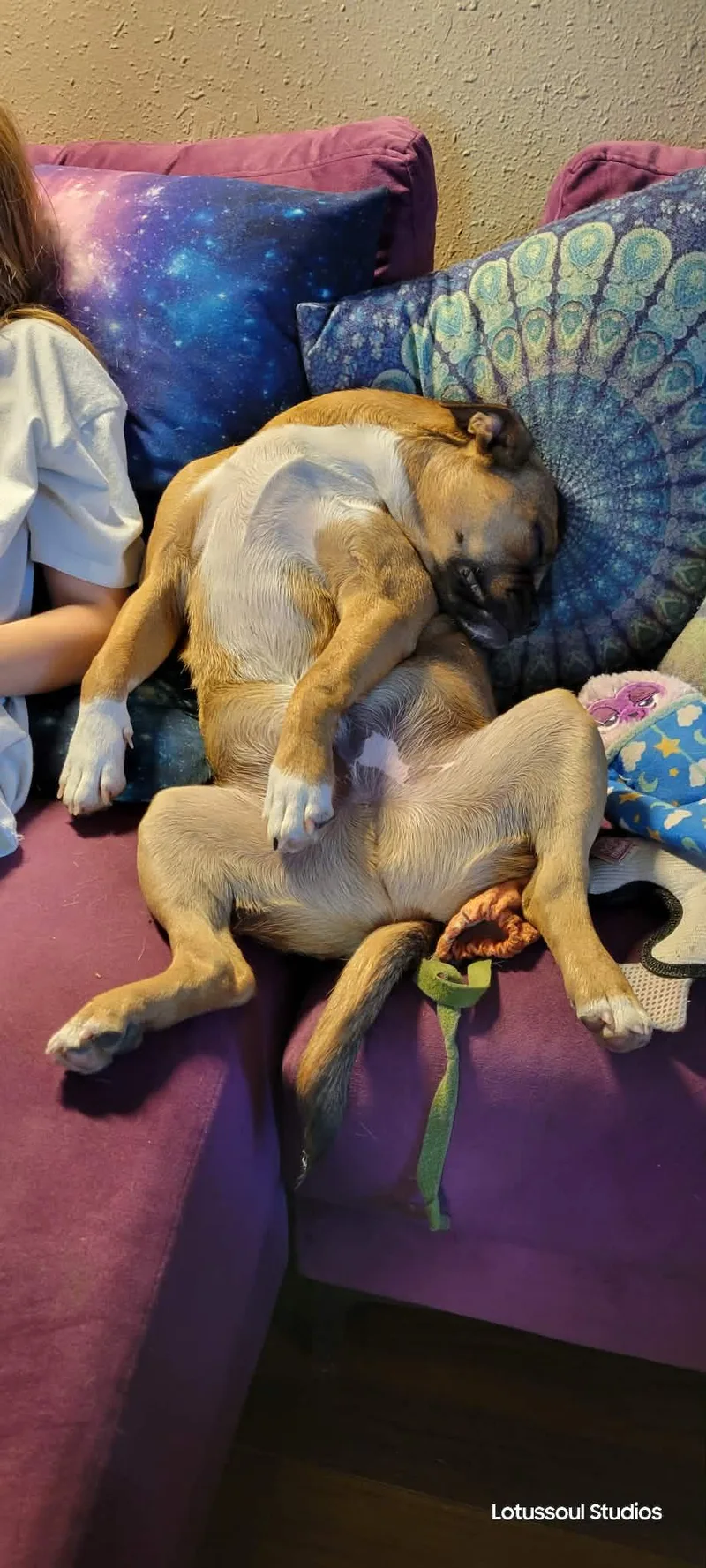 Reese's Pieces thumbnail 2