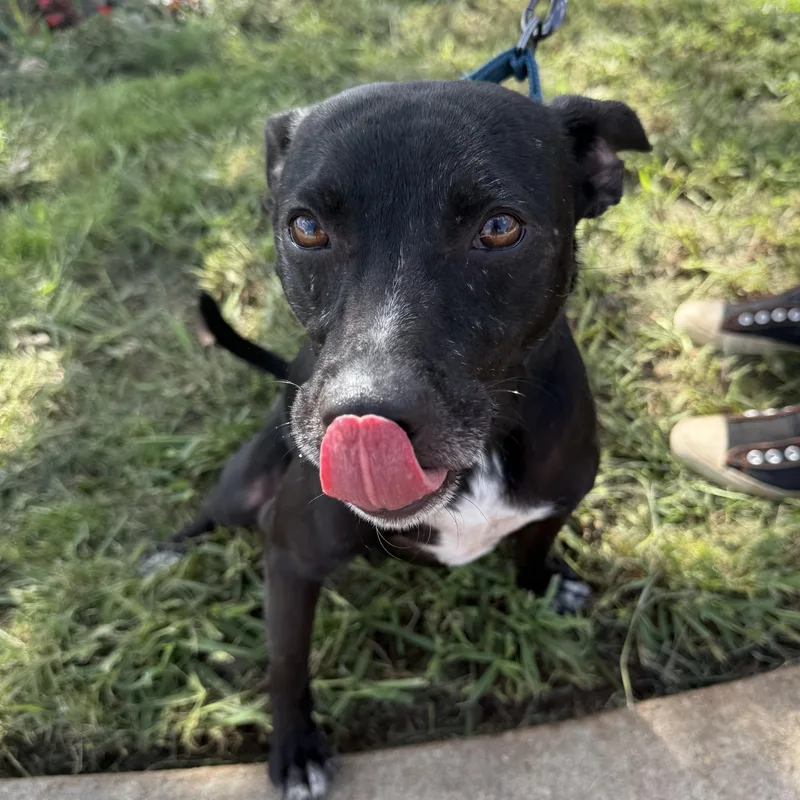 Emmett Everly thumbnail 3