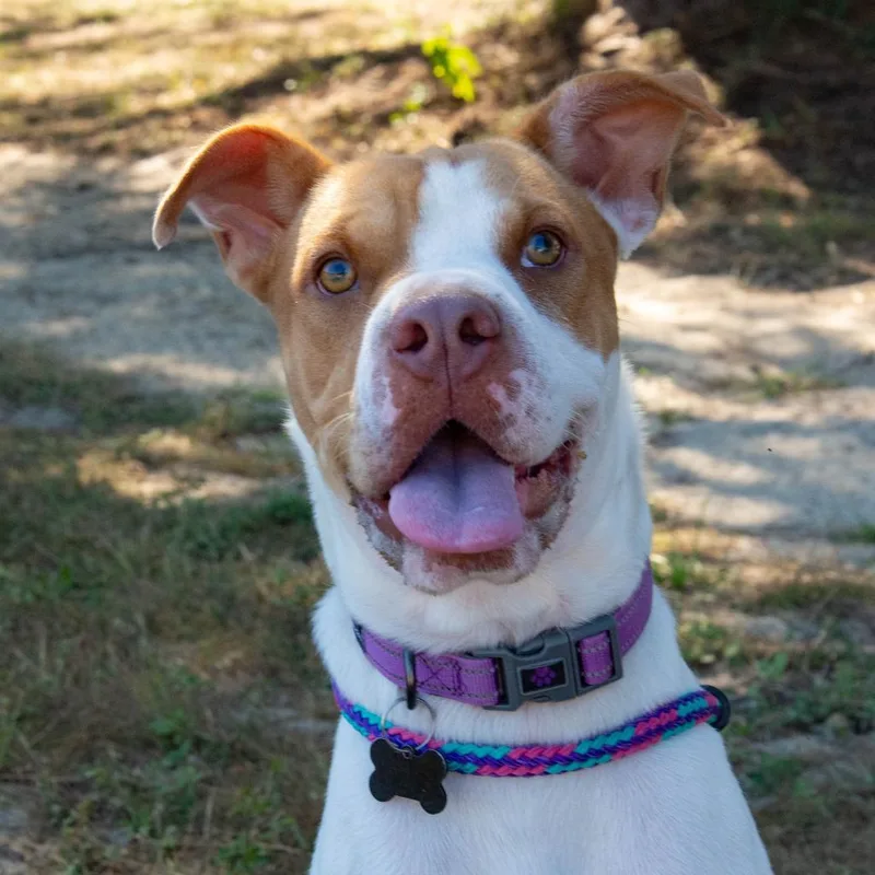 Hm Libby thumbnail 2