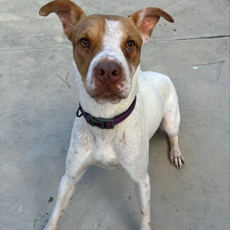 Hm Libby thumbnail 3