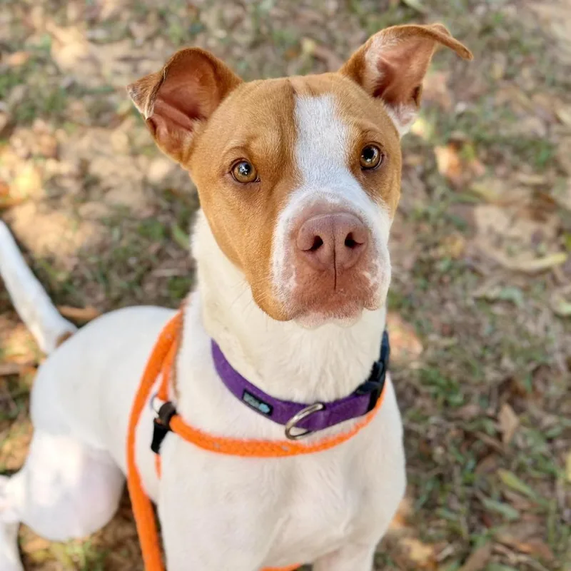 Hm Libby thumbnail 4