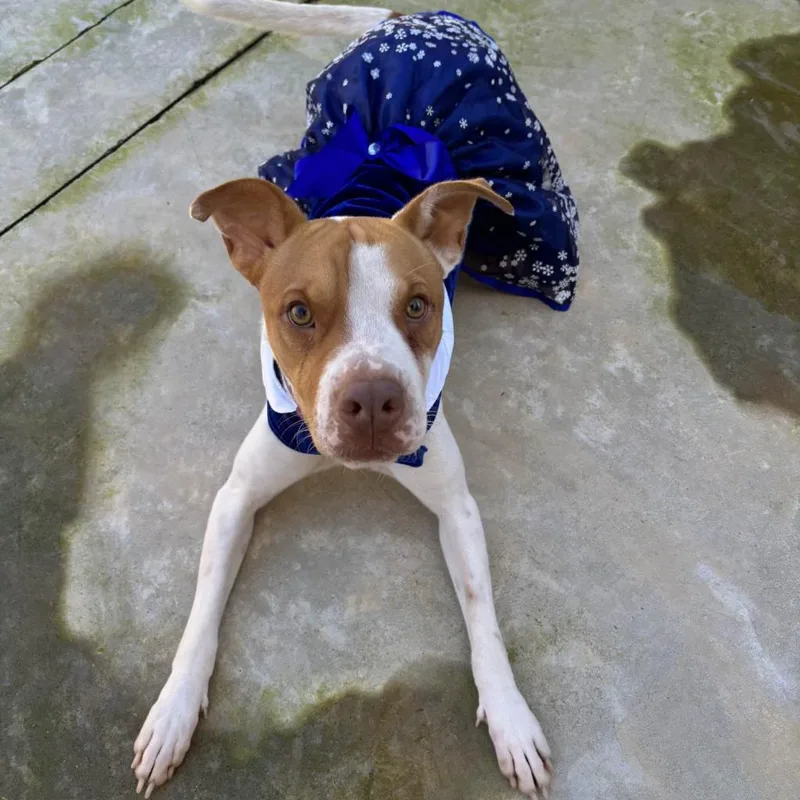 Hm Libby thumbnail 5