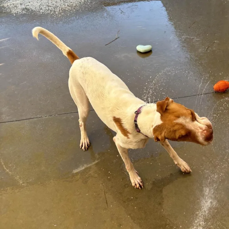 Hm Libby thumbnail 6