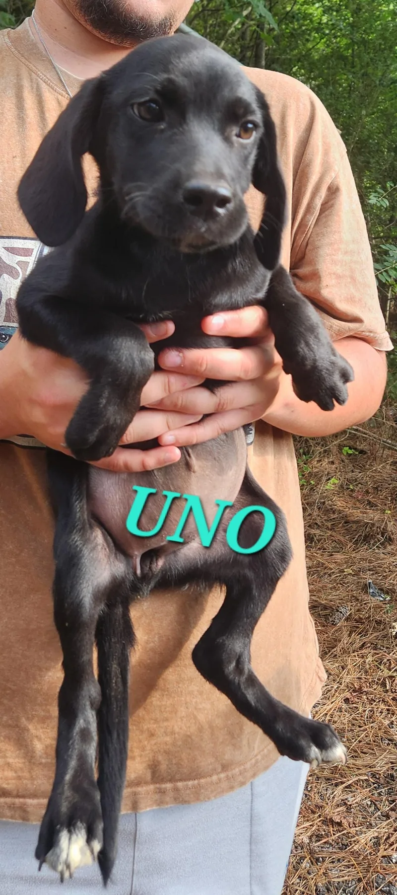 Uno Shuffle thumbnail 2