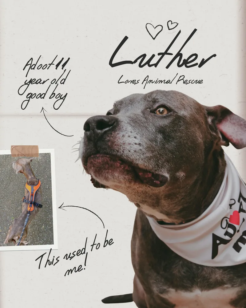 Luther thumbnail 2