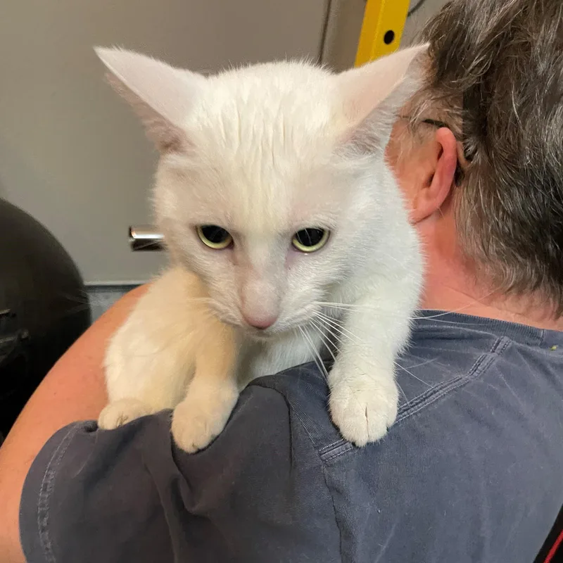 Stockton thumbnail 2