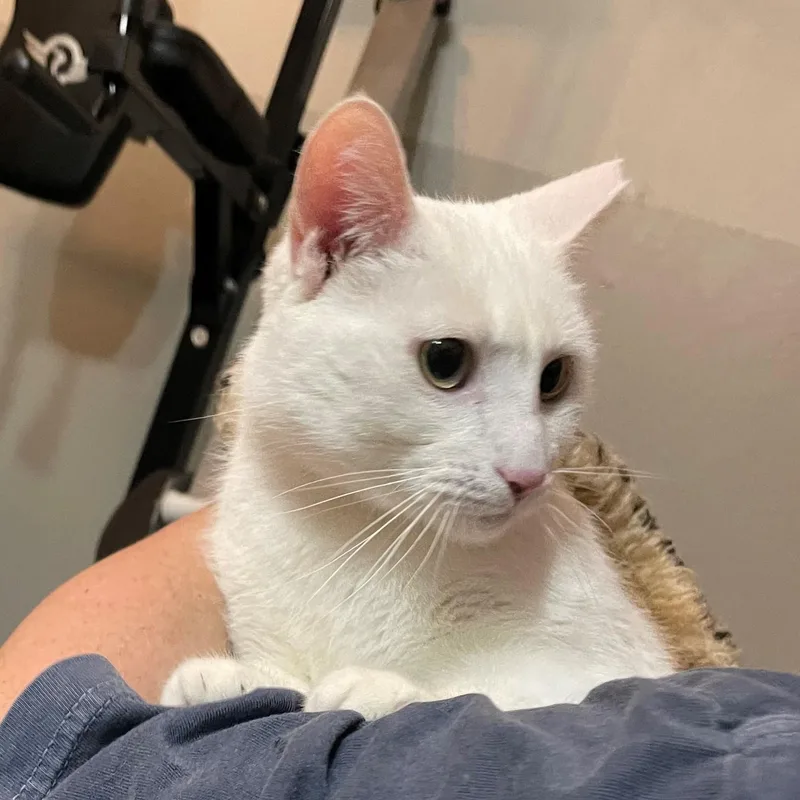 Stockton thumbnail 3